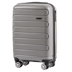 Large travel suitcase Wings M, Grey (DQ181-03)