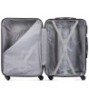 Cabin suitcase Wings S, Champagne (147)
